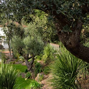 Jardins Exotiques - SARL PAIN Paysagiste à Batz-Sur-Mer, La Baule, Pornichet, Guérande, Le Croisic